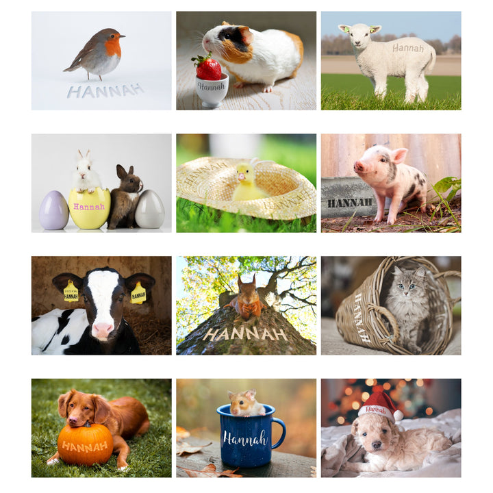 Personalised 2024 A4 Cute Animals Calendar