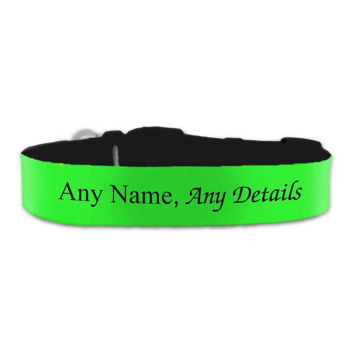 Personalised Large Dog Collar with Green Background Image 2