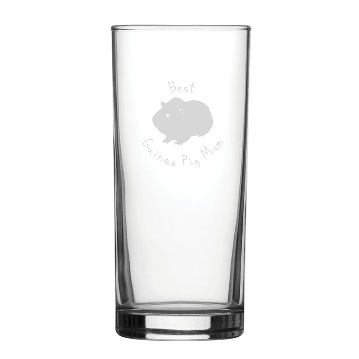 Best Guinea Pig Dad - Engraved Novelty Hiball Glass Image 1