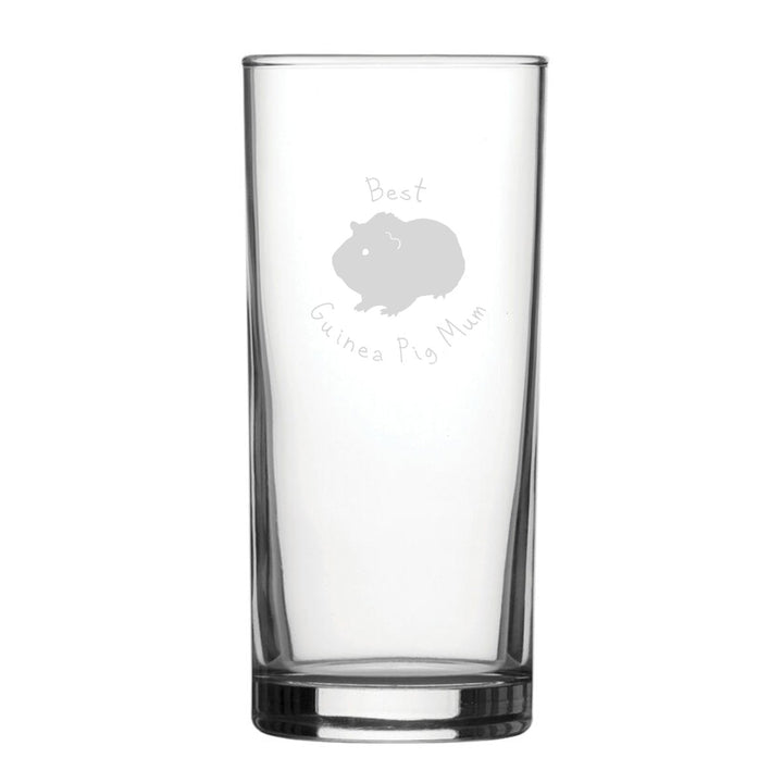 Best Guinea Pig Dad - Engraved Novelty Hiball Glass